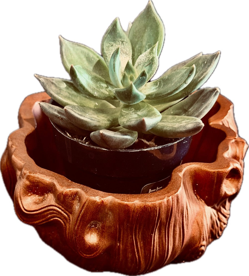 Resin Log Planter, Pink Bronze Chameleon|3088