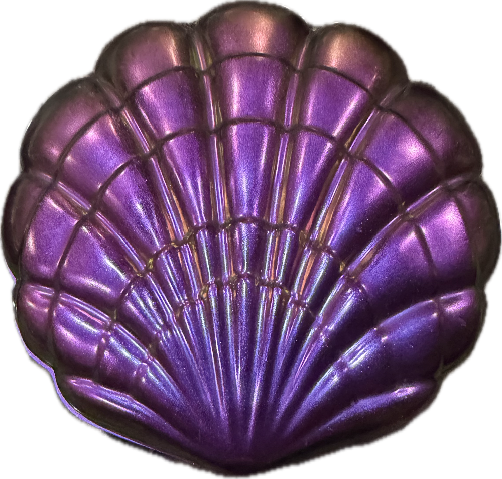 Resin Shell Jewelry Box, Pink Chameleon|3106