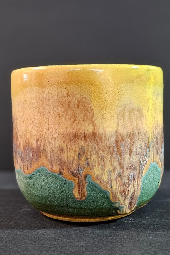 Small Yellow and Teal Tumbler|2847
