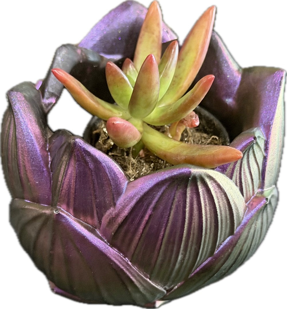 Resin Artichoke Succulent Planter Purple Chameleon|3054